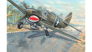 P-40F WAR HAWK