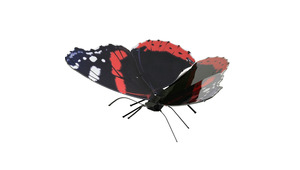 FARFALLA RED ADMIRAL BUTTERFLY