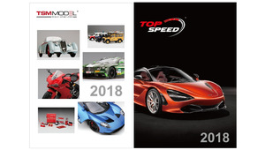 CATALOGO TRUE SCALE MINIATURES E TOP SPEED 2018