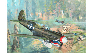 P-40N WAR HAWK