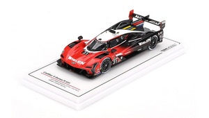CADILLAC V-SERIES.R #31 WHELEN CADILLAC RACING 2ND PLACE IMSA 24H DAYTONA 2024